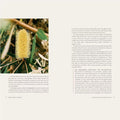 Book cover of 