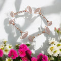 Lavvish Rose Quartz Facial Roller with box displayed on iridescent stand surrounded by small potted succulents